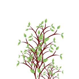立夏装饰植物插画元素