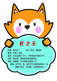 卡通树牌
