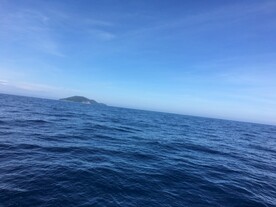 大海海边图片
