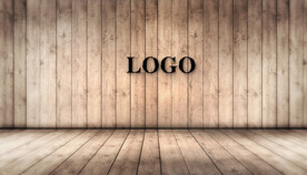 样机logo阴影悬挂模板