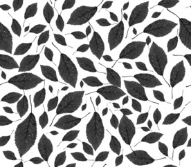 叶子 分层 无缝衔接