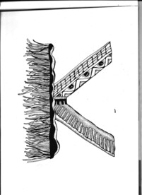 黑白装饰画