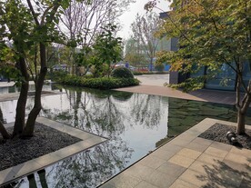 郑州  永威   森林花语  