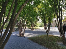 郑州  永威   森林花语  