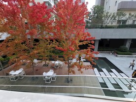 郑州  永威  上和郡  