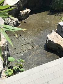 北京  世贸  西山  龙胤 