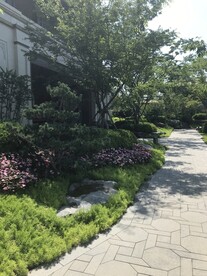 北京世贸西山龙胤