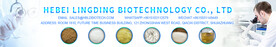 网站banner