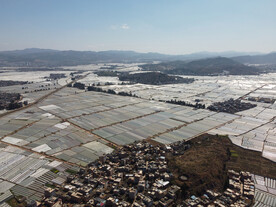 石寨村