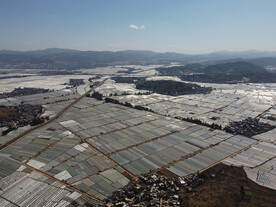 田野