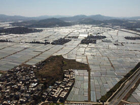 田野