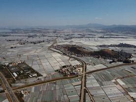 田野