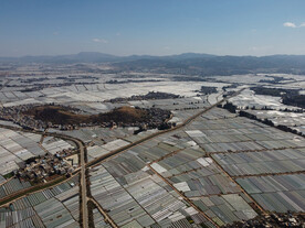 田野
