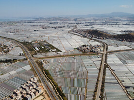 田野