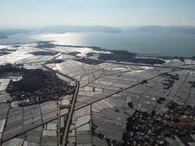 田野