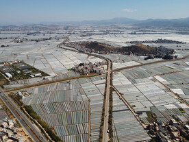 田野