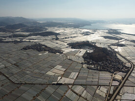 田野