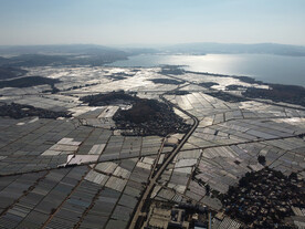 田野