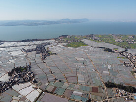 田野