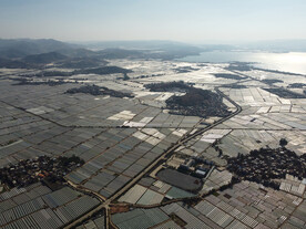 田野