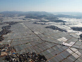 田野