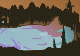 T恤  森林  树林 湖 