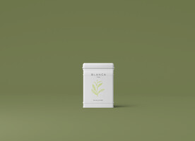 茶叶罐样机