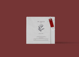 面膜样机