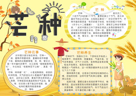 芒种手抄报