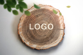 树桩年轮logo样机