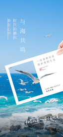 夏天海报