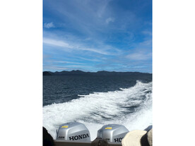 大海深海图片