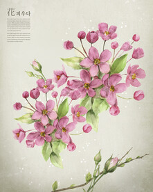 婚纱写真浪漫鲜花主题背景模板