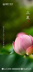 二十四节气海报 立夏海报