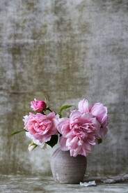 玫瑰
