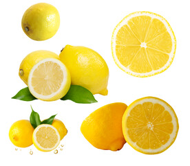 柠檬素材
