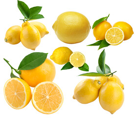 柠檬素材
