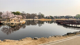 圆明园