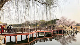 圆明园