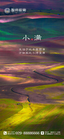 二十四节气海报 小满海报
