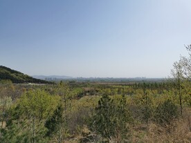 山野瞭望