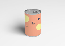 水果食品包装样机