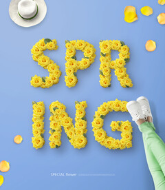 婚纱写真浪漫鲜花主题背景模板