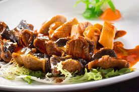 湖南口味蛇烧鸡