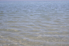 海水