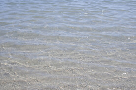 海水