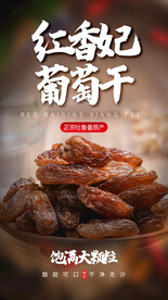 葡萄干零食推广活动海报素材