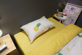 枕芯
