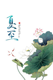 夏至荷花图片
