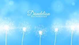 背景模板 展板背景